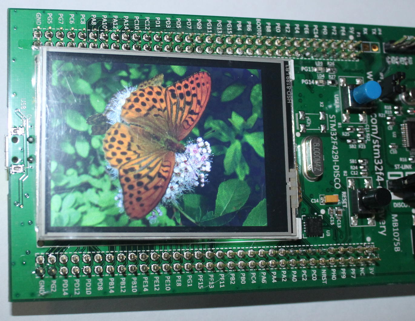 Фото платы STM32F429I-Disco с полученным изображением